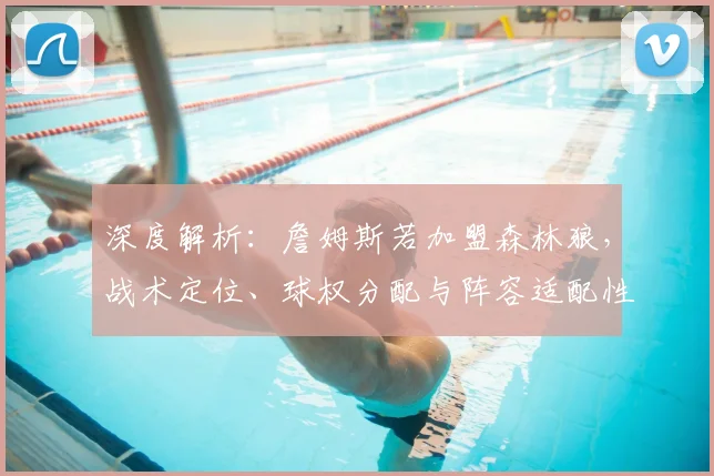 深度解析：詹姆斯若加盟森林狼，战术定位、球权分配与阵容适配性全评估