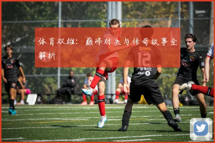 体育双雄：巅峰对决与传奇故事全解析